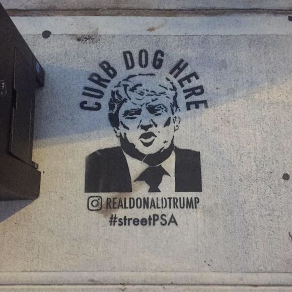 Meet your Posher, Rachael - Picture 1 of 1